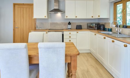 Green Orchard Oasis 5