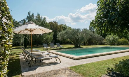 The Proven&ccedil;al Nest 1