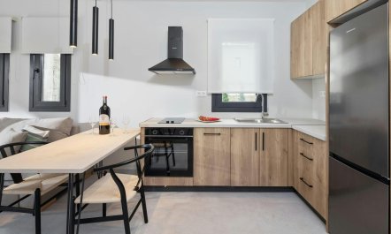 Olive Groves & Sky 9