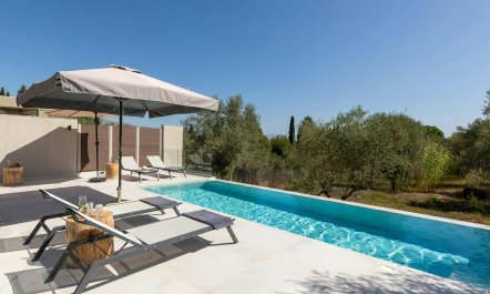 Olive Groves & Sky 3