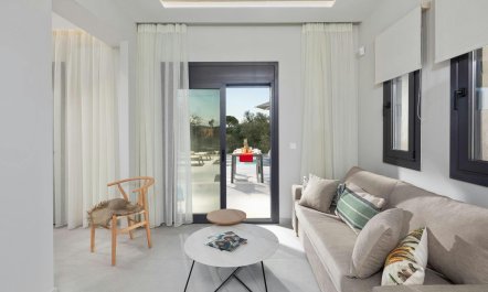 Olive Groves & Sky 6