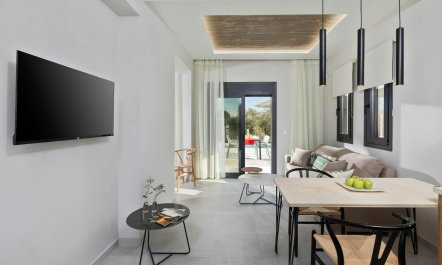 Olive Groves & Sky 8