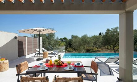 Olive Groves & Sky 4