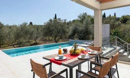 Olive Groves & Sky 1