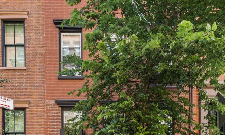 Greenwich Village Gem 5