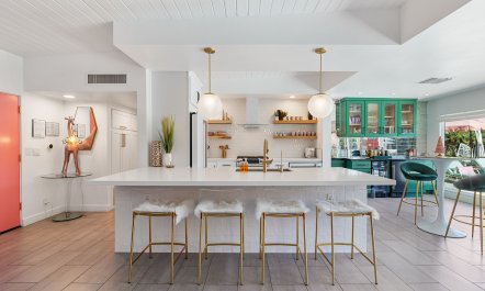 Palm Springs Princess 4