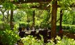 Wisteria Castle 4
