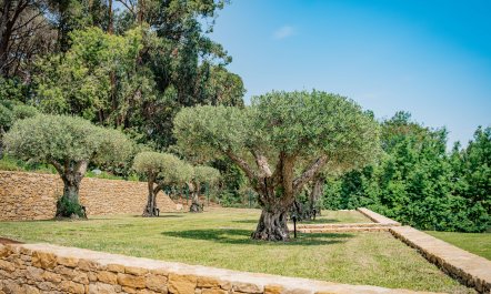 Paradise In Provence 9