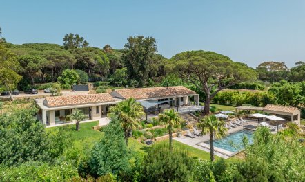 Paradise In Provence