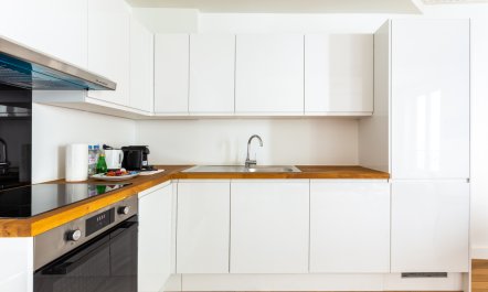 The Bridges of Paris 1