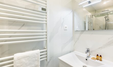 The Bridges of Paris 6