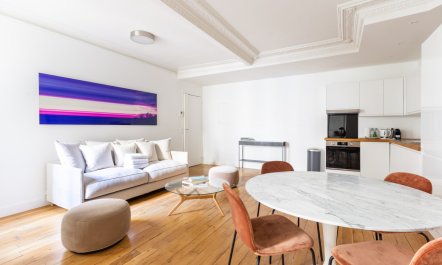 The Bridges of Paris 2