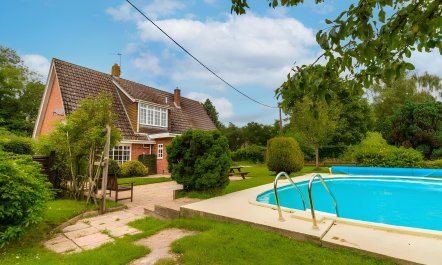 Serene Meadow Breeze 2