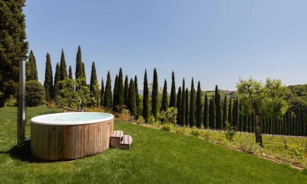 Dreaming Tranquillity 4