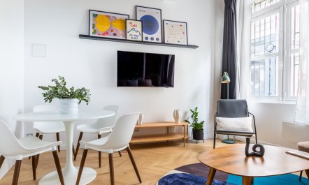 Notre-Dame Dreaming 4