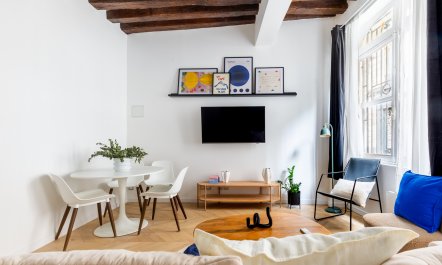 Notre-Dame Dreaming 3