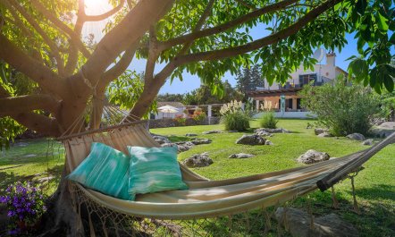 Almond Blossom Finca 6