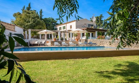 Almond Blossom Finca 2