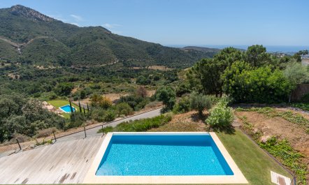 Sublime Tranquility 3