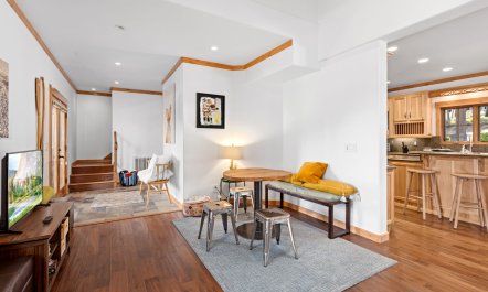 Mountain Starlight 8