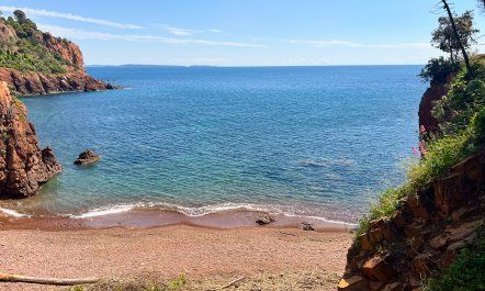 Refined Paradise Coast 5