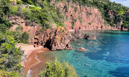 Refined Paradise Coast 4