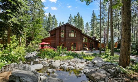 Below the&nbsp;Pines