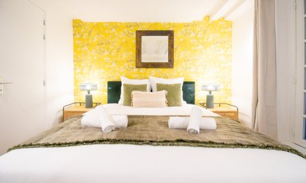 The Elegance of Paris 6