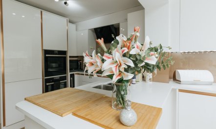 The Moon and the Stars 8