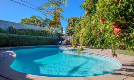 Hollywood Hills Retreat