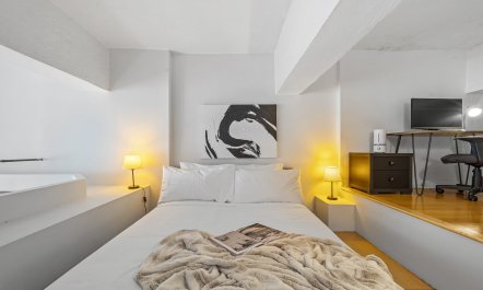 The Skyscrapers of New York 4