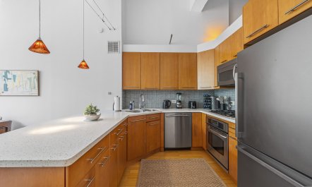 The Skyscrapers of New York 2