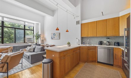 The Skyscrapers of New York 0