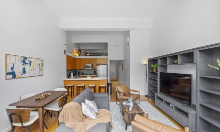 The Skyscrapers of New York 2