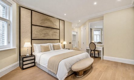 The Mathilde 1