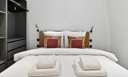 Parisian Courtyard Home 9