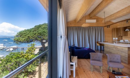 Sea Studio 3