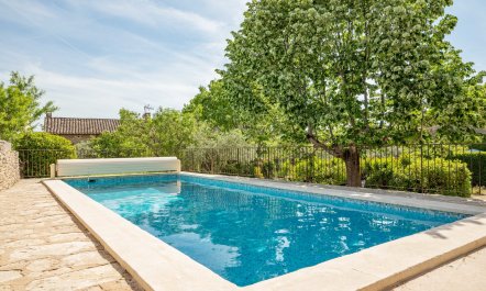 Beneath the Linden Tree 2