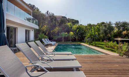 The Indigo Outlook 3