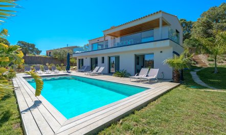 The Indigo Outlook 2