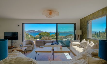 The Indigo Outlook 1