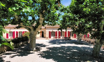 Picnic in Provence 4
