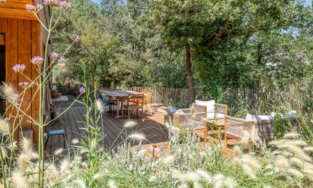 The Wildflower Garden 3