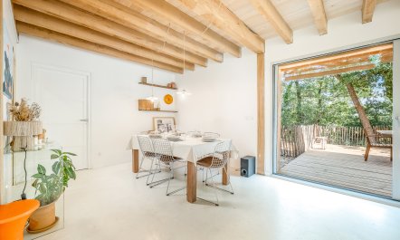 The Wildflower Garden 7