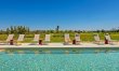 The Warm Estate 1