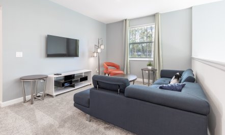 The Happiest Hideaway 0