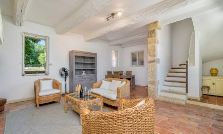 Luberon Vines & Woodland 5