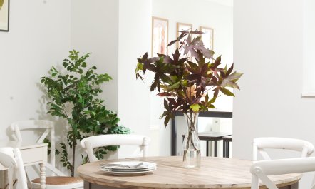 The Battersea Belle 4