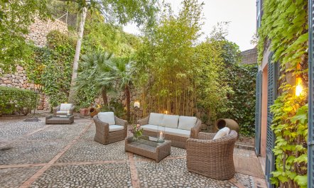 Swooning in the Sun 5