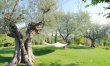 Country Vista 4